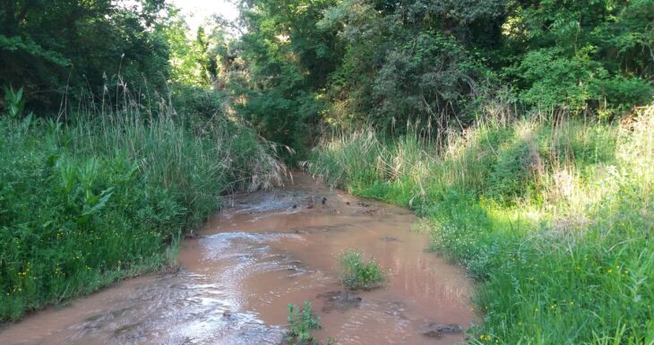Paisatge de la riera de Malrubí